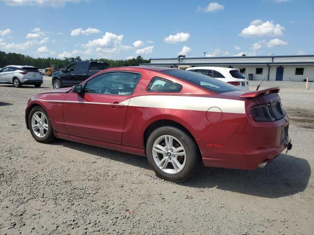 2014 FORD MUSTANG - 1ZVBP8AM9E5206803