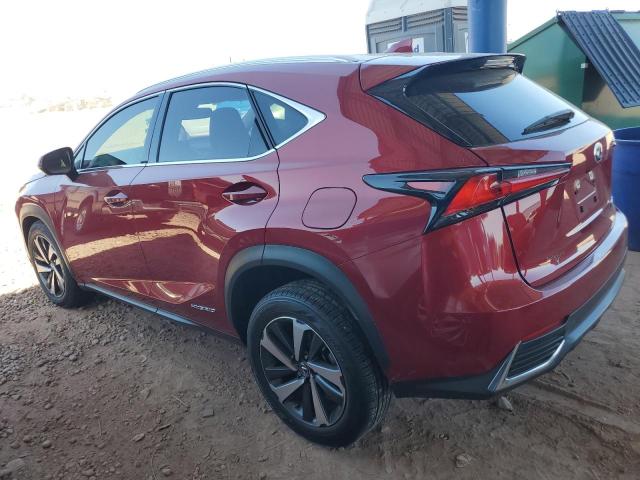 2020 LEXUS NX 300H JTJGJRDZ8L5005203