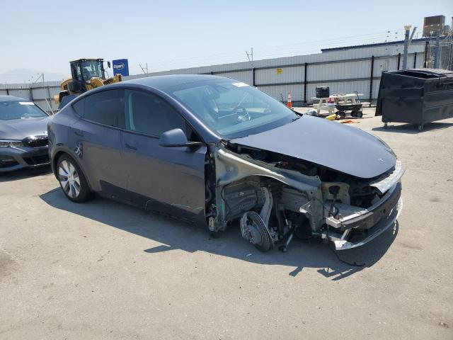 2023 TESLA MODEL Y 7SAYGDEE4PF852974