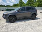 2015 JEEP CHEROKEE TRAILHAWK - 1C4PJMBB8FW615953
