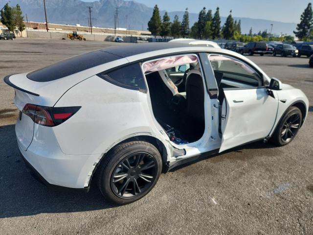 2024 TESLA MODEL Y 7SAYGDED6RF167241