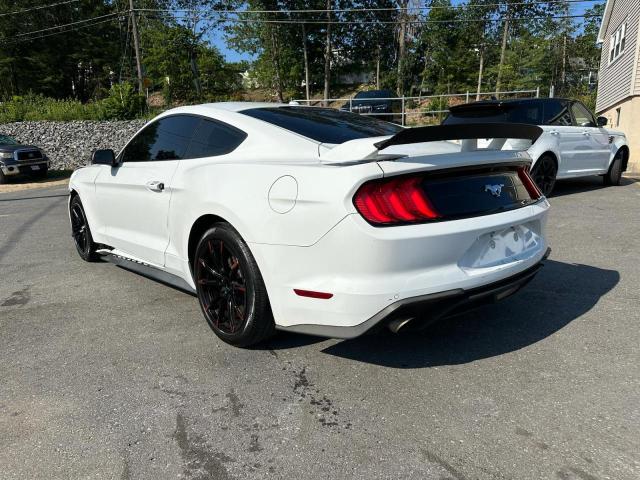 2019 FORD MUSTANG 1FA6P8TH7K5193930
