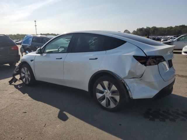 2020 TESLA MODEL Y 5YJYGDEE7LF027633