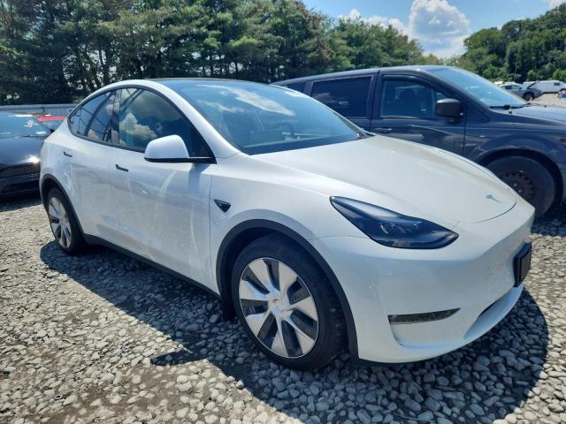 2023 TESLA MODEL Y 7SAYGAEE6PF803385
