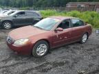 Top Destinations for Shipping Cars from the USA