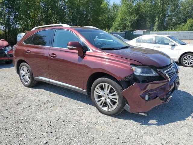 2014 LEXUS RX 350 BAS - 2T2BK1BA6EC240953