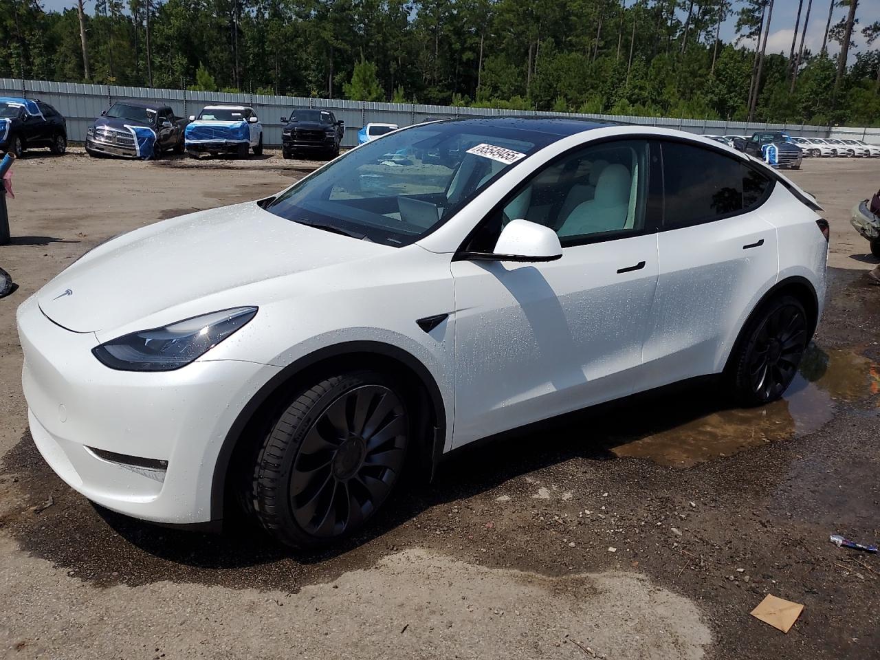 TESLA MODEL Y