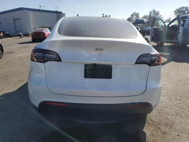 2024 TESLA MODEL Y 7SAYGDED1RF095591