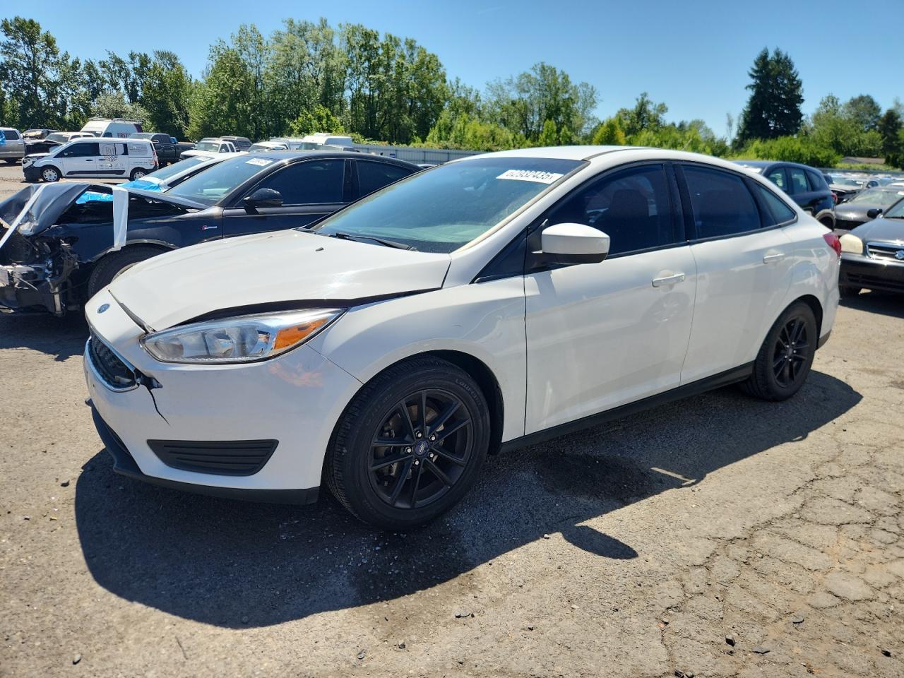 FORD FOCUS SE