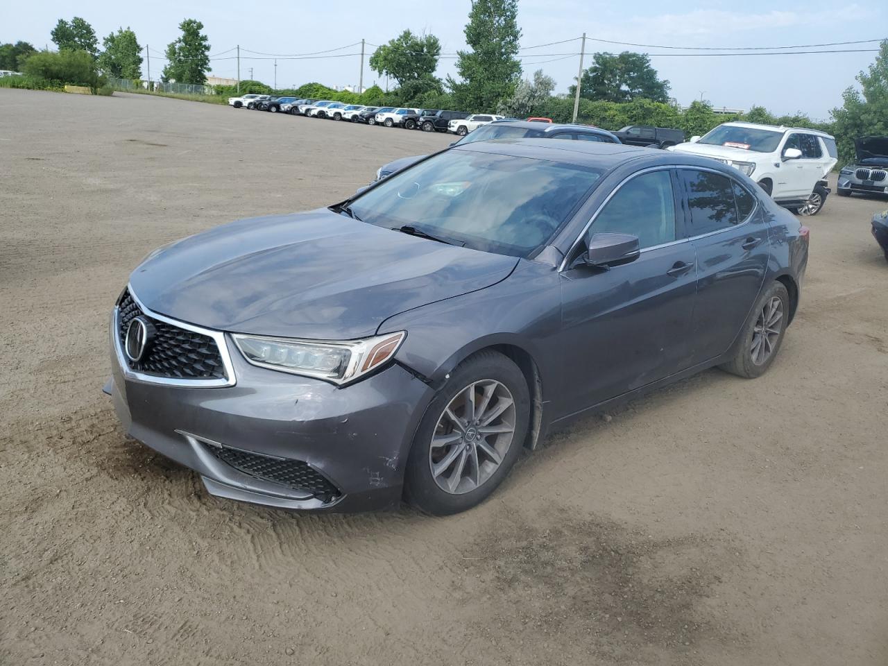 ACURA TLX