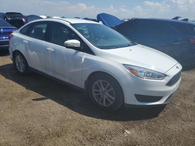 2017 FORD FOCUS SE 1FADP3F29HL262767