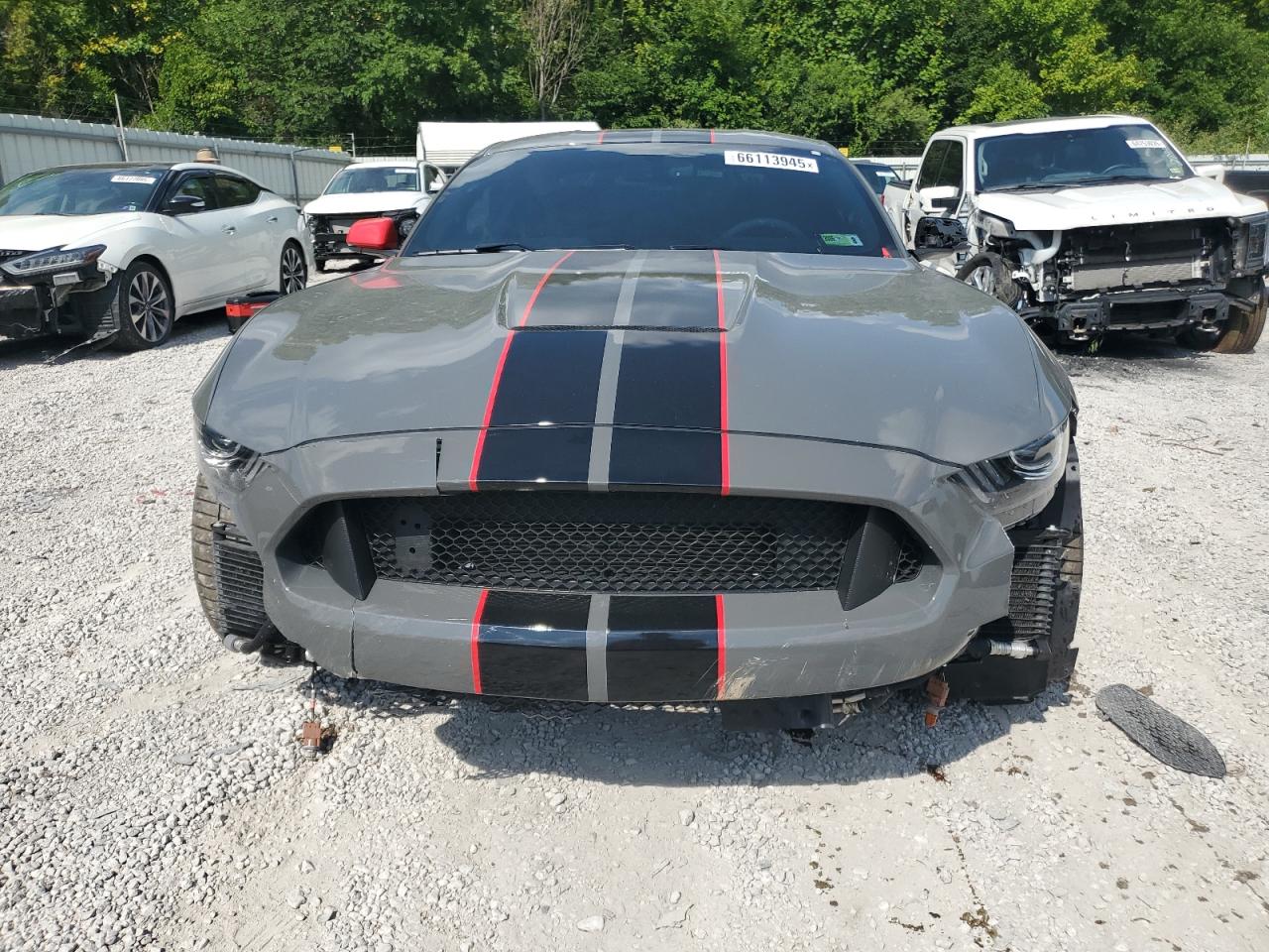 FORD MUSTANG SHELBY GT350