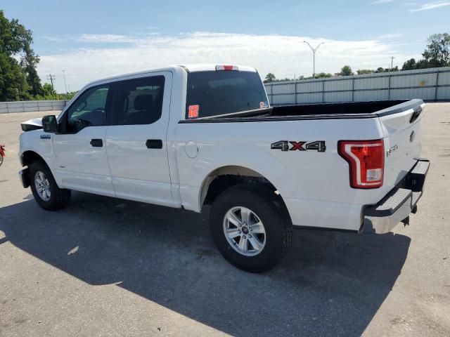 2015 FORD F150 SUPER - 1FTEW1EG3FFB41733