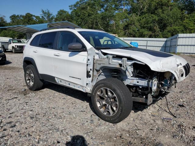 2021 JEEP CHEROKEE T 1C4PJMBX1MD248639
