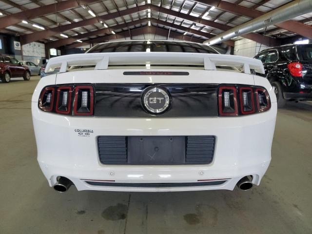 2013 FORD MUSTANG GT - 1ZVBP8CF3D5257937