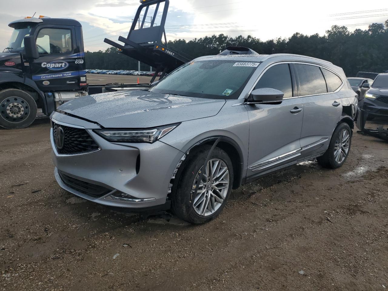 ACURA MDX ADVANCE