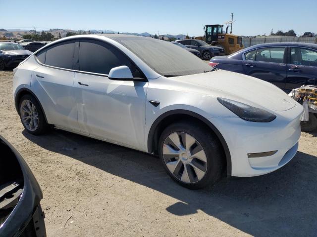 2023 TESLA MODEL Y 7SAYGDEE4PF740448