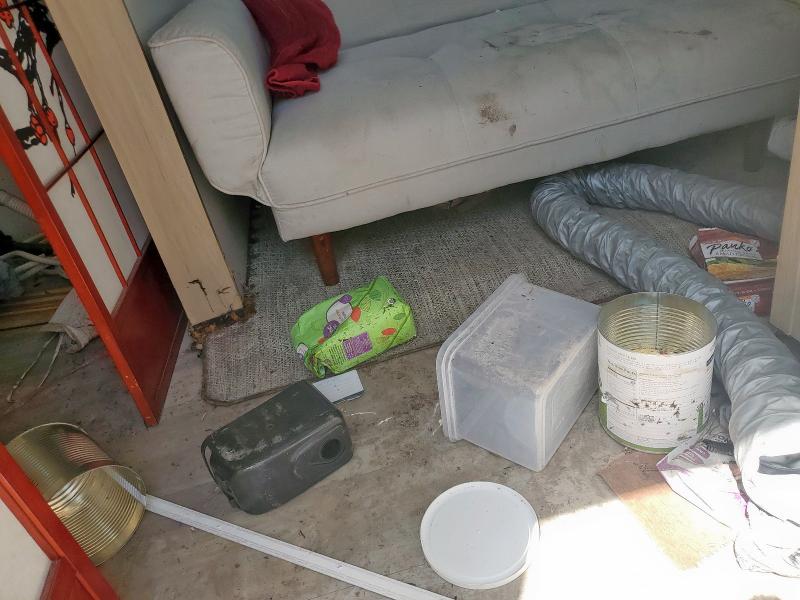 2021 CRUI RADIANCE #3303921690