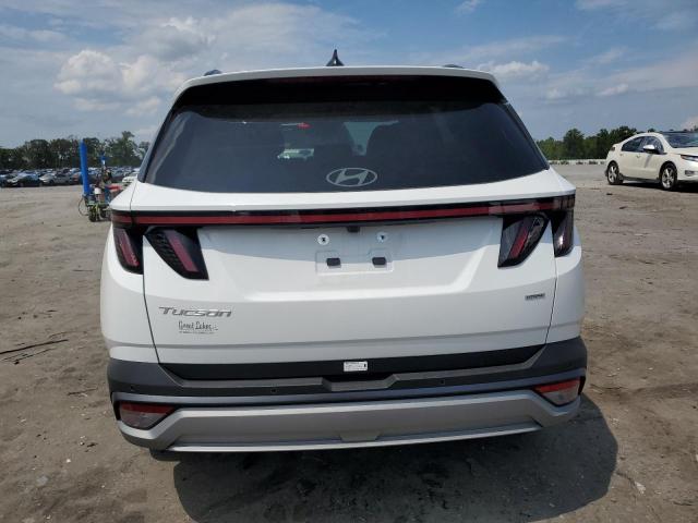 2025 HYUNDAI TUCSON LIM 5NMJECDE9SH467398