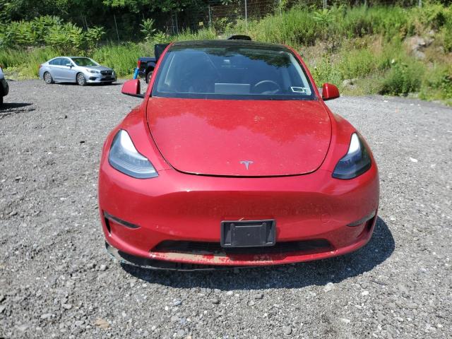 2023 TESLA MODEL Y 7SAYGDEF5PF947441