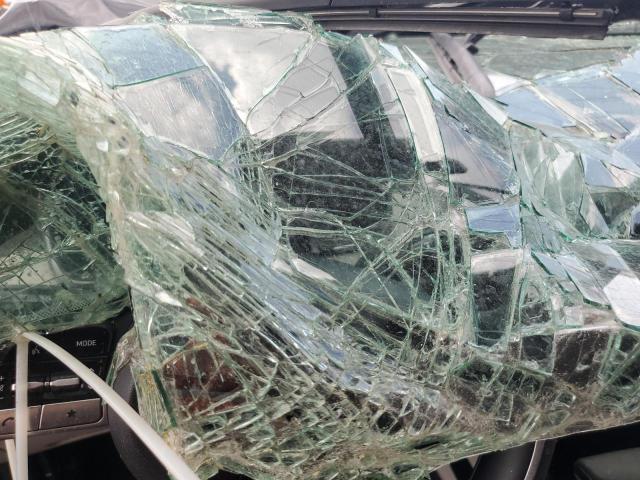 2024 HYUNDAI TUCSON SEL 5NMJB3DE4RH381533