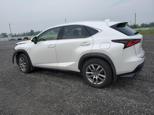 2020 LEXUS NX 300H JTJHARDZ4L5015988