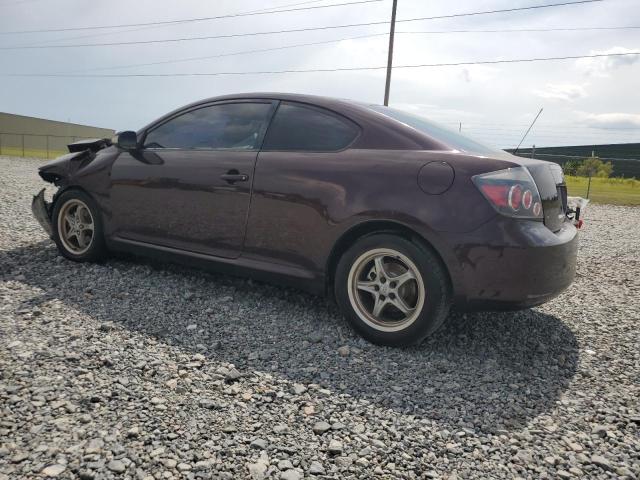 TOYOTA SCION TC 2010 purple  gas JTKDE3B73A0306280 photo #3