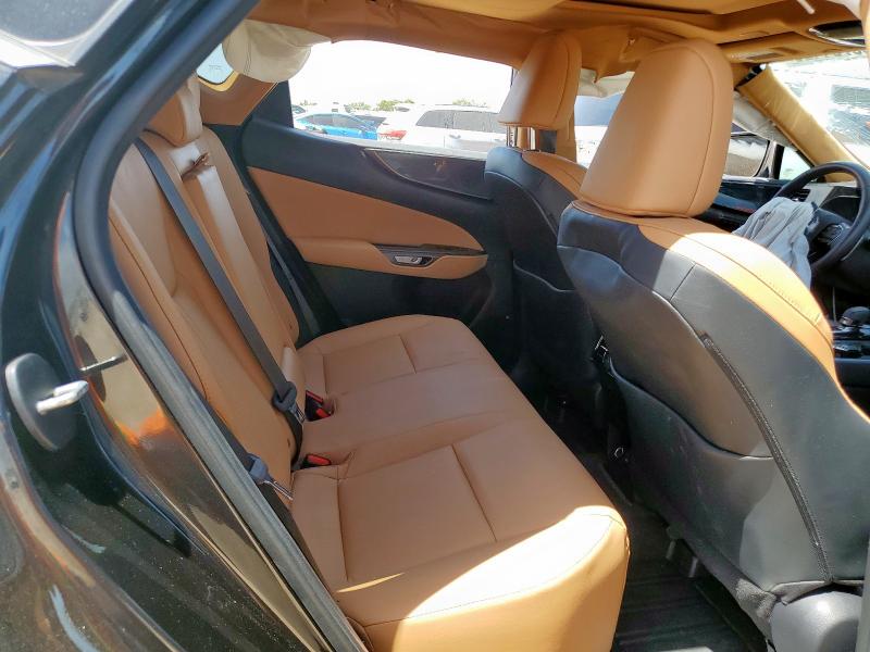 2023 LEXUS NX 350 2T2GGCEZ8PC024660