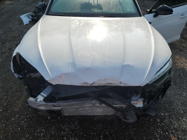 2023 AUDI S5 PREMIUM WAUA4CF52PA014190