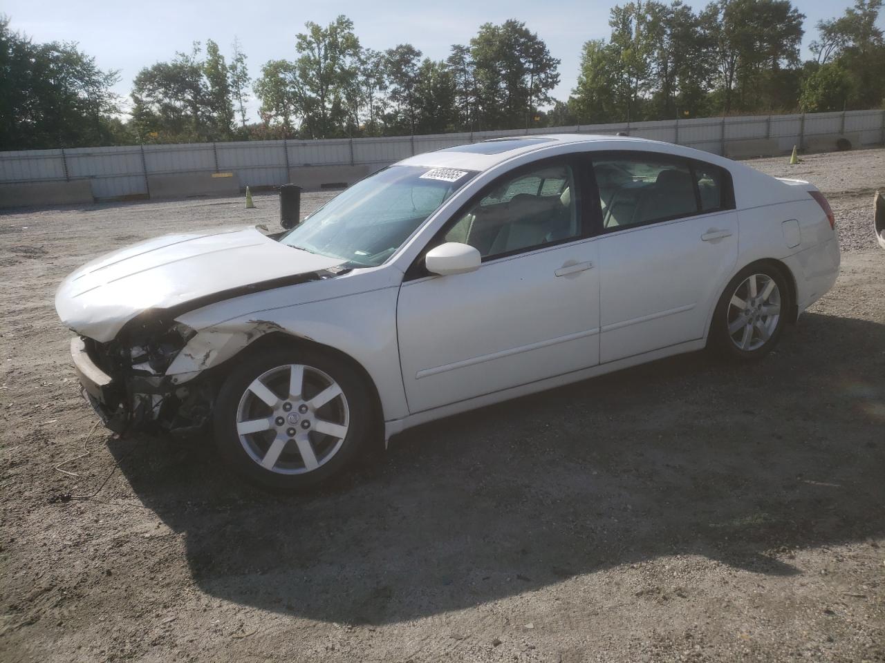 Lot #3281635385 2004 NISSAN MAXIMA SE