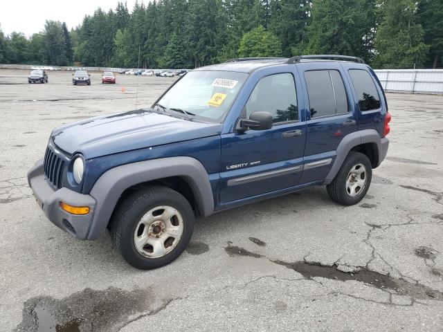 JEEP LIBERTY SP