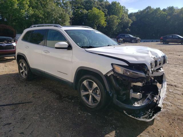 2019 JEEP CHEROKEE L - 1C4PJMDX1KD232497