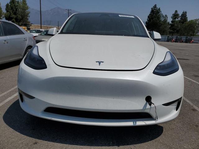 2025 TESLA MODEL Y 7SAYGDEE8SF247834