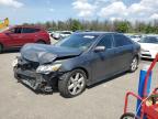 Lot #3316880067 2007 TOYOTA CAMRY LE