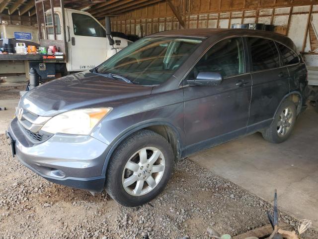 HONDA CR-V SE