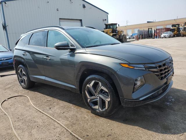 2022 HYUNDAI TUCSON LUX KM8JCCA19NU012390
