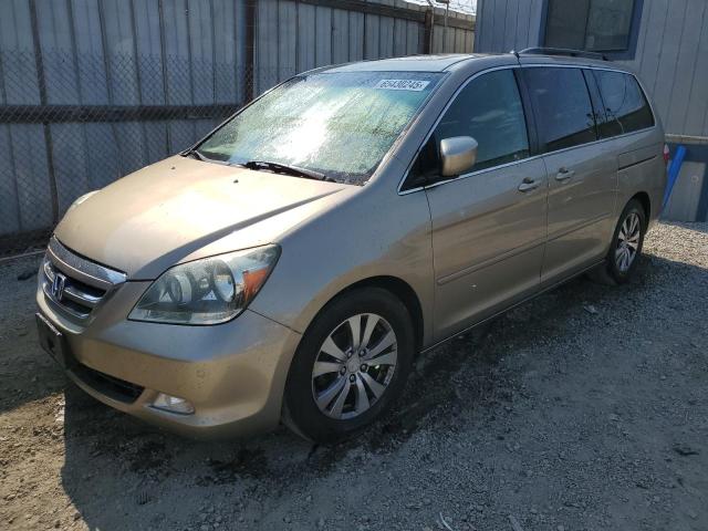 HONDA ODYSSEY TO 2005 gold sports v gas 5FNRL38845B011571 photo #1