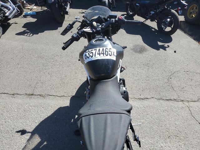 2024 SUZUKI GSX800 F JS1EM13B5R7103605