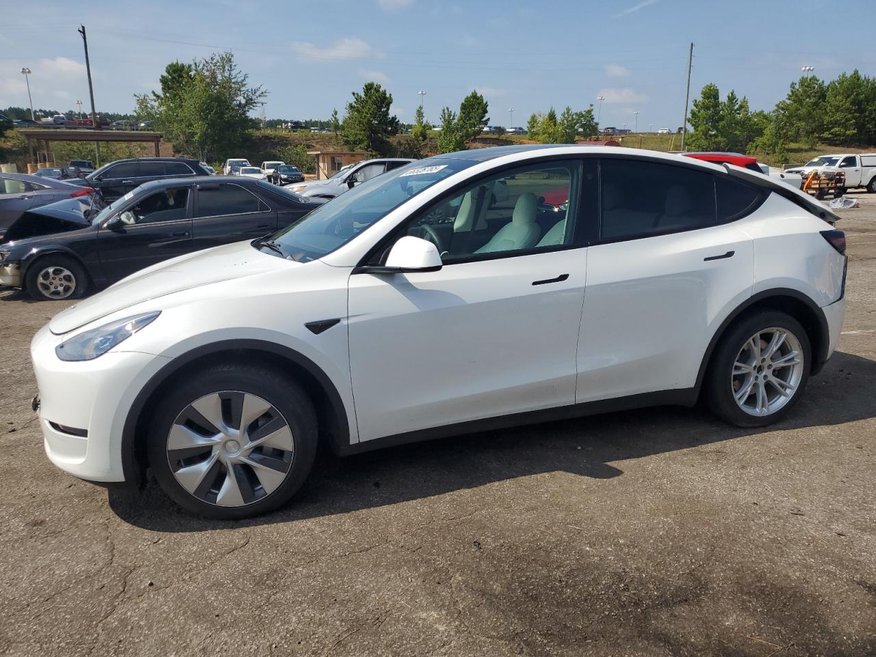 TESLA MODEL Y