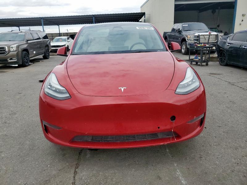 2023 TESLA MODEL Y 7SAYGAEE5PF591451