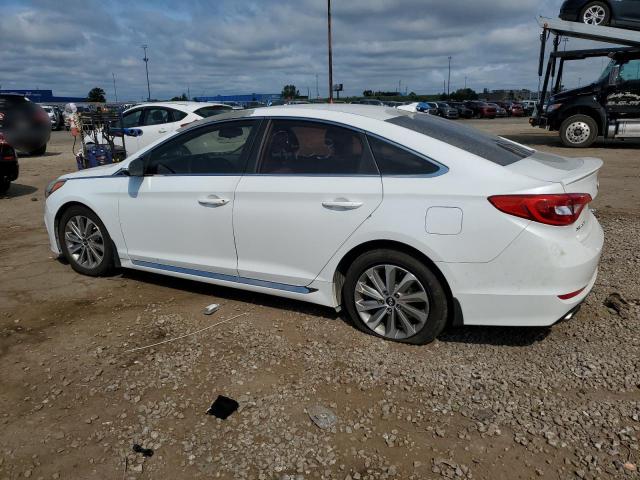 2016 HYUNDAI SONATA SPO - 5NPE34AF7GH272453