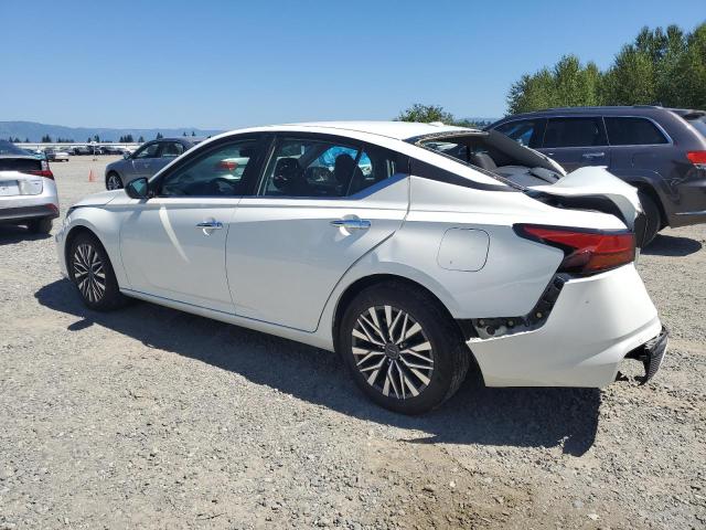 2025 NISSAN ALTIMA 1N4BL4DV0SN348129