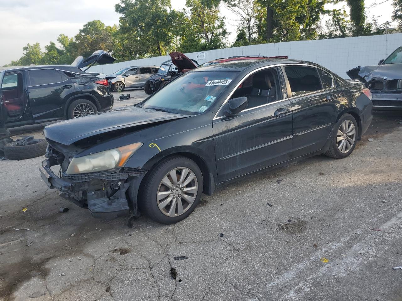 HONDA ACCORD EXL