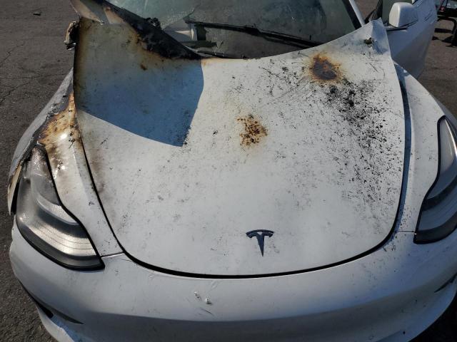 2019 TESLA MODEL 3 5YJ3E1EB1KF513406
