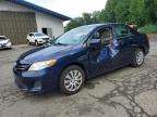 Top Destinations for Shipping Cars from the USA