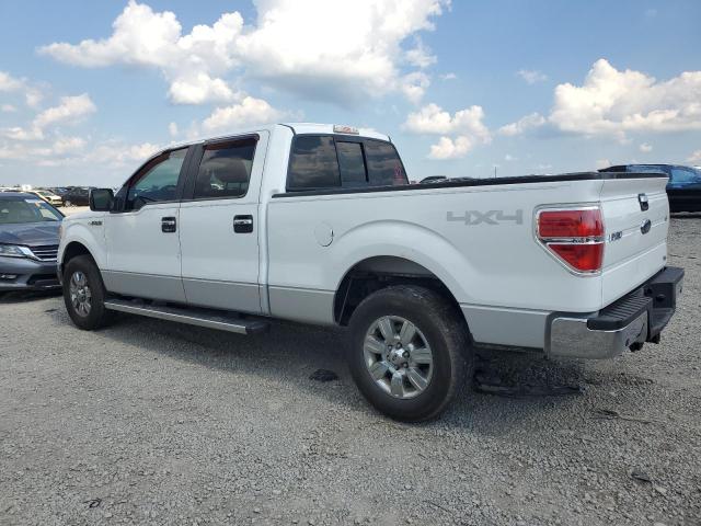 2010 FORD F150 SUPER - 1FTFW1EV8AFC15577
