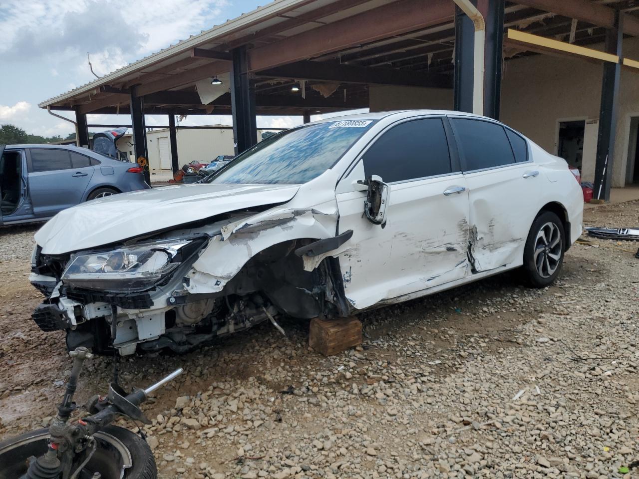 HONDA ACCORD EXL