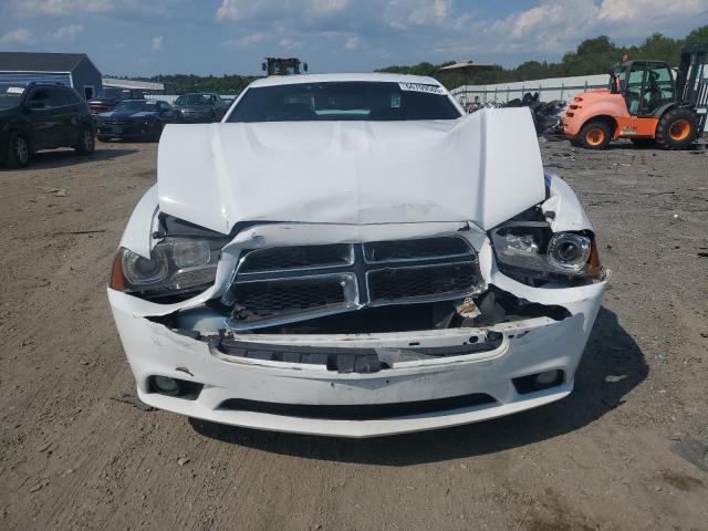 2014 DODGE CHARGER R/ - 2C3CDXCT7EH113967