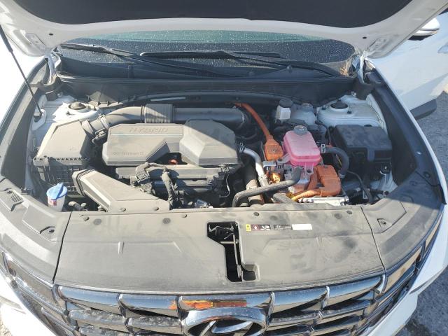 2024 HYUNDAI TUCSON LIM KM8JECD19RU198881