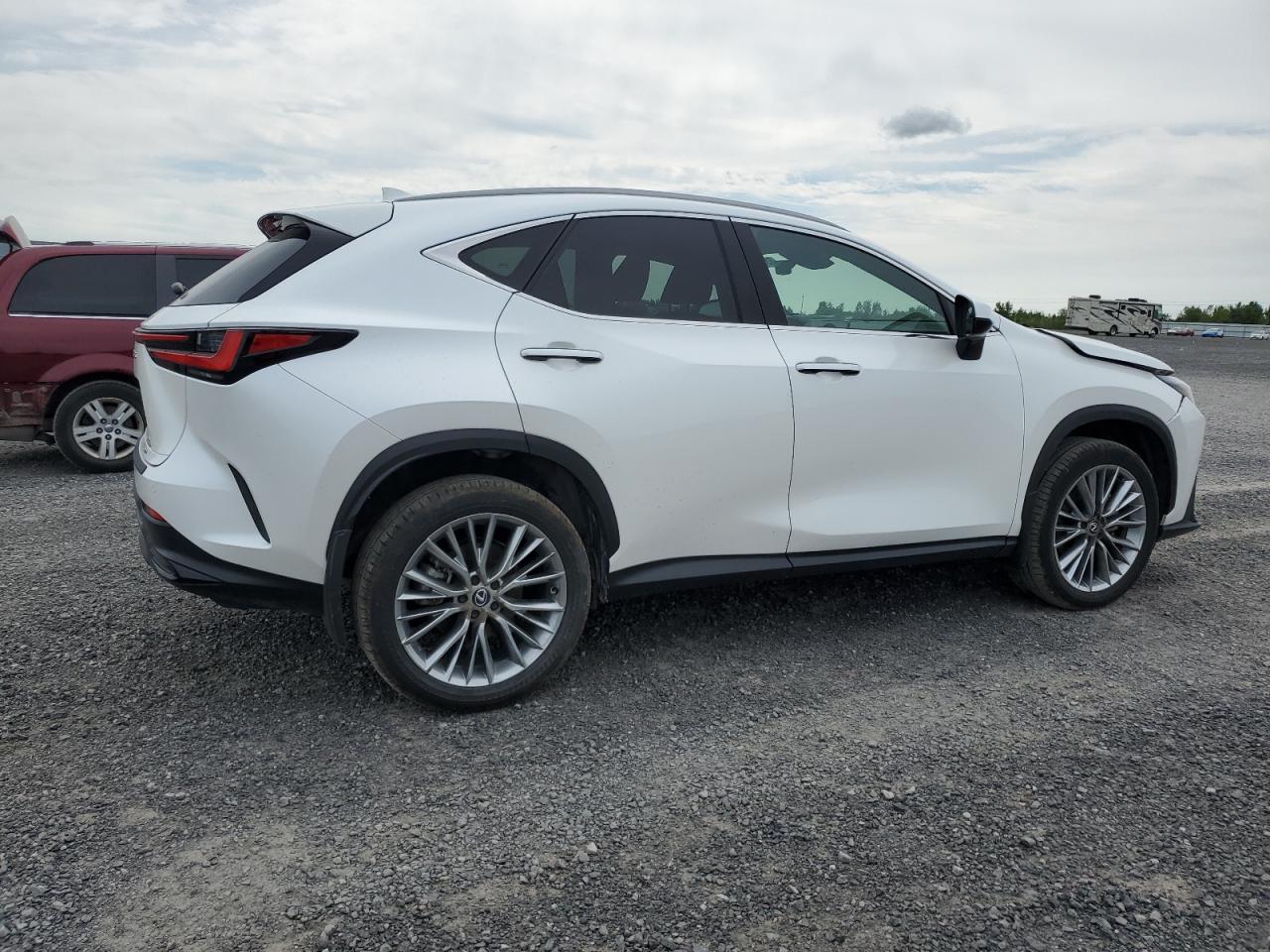 LEXUS NX 350H BASE